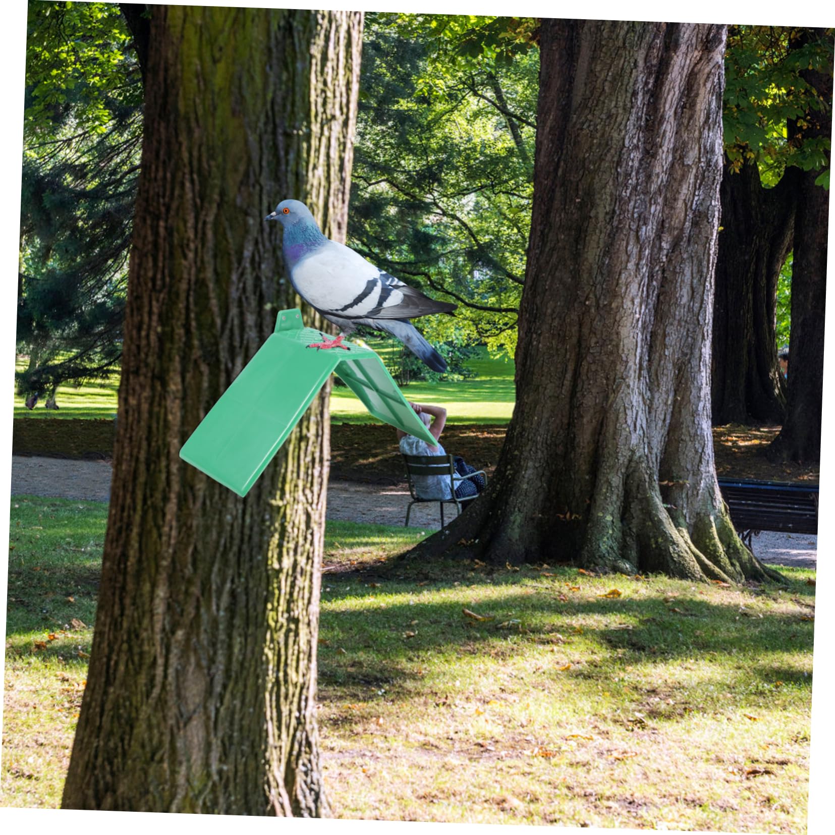 SUPVOX Iron Perch Roosting Platforms Sturdy Bird Standing Frames for Parrots Budgies Pigeon Resting Racks