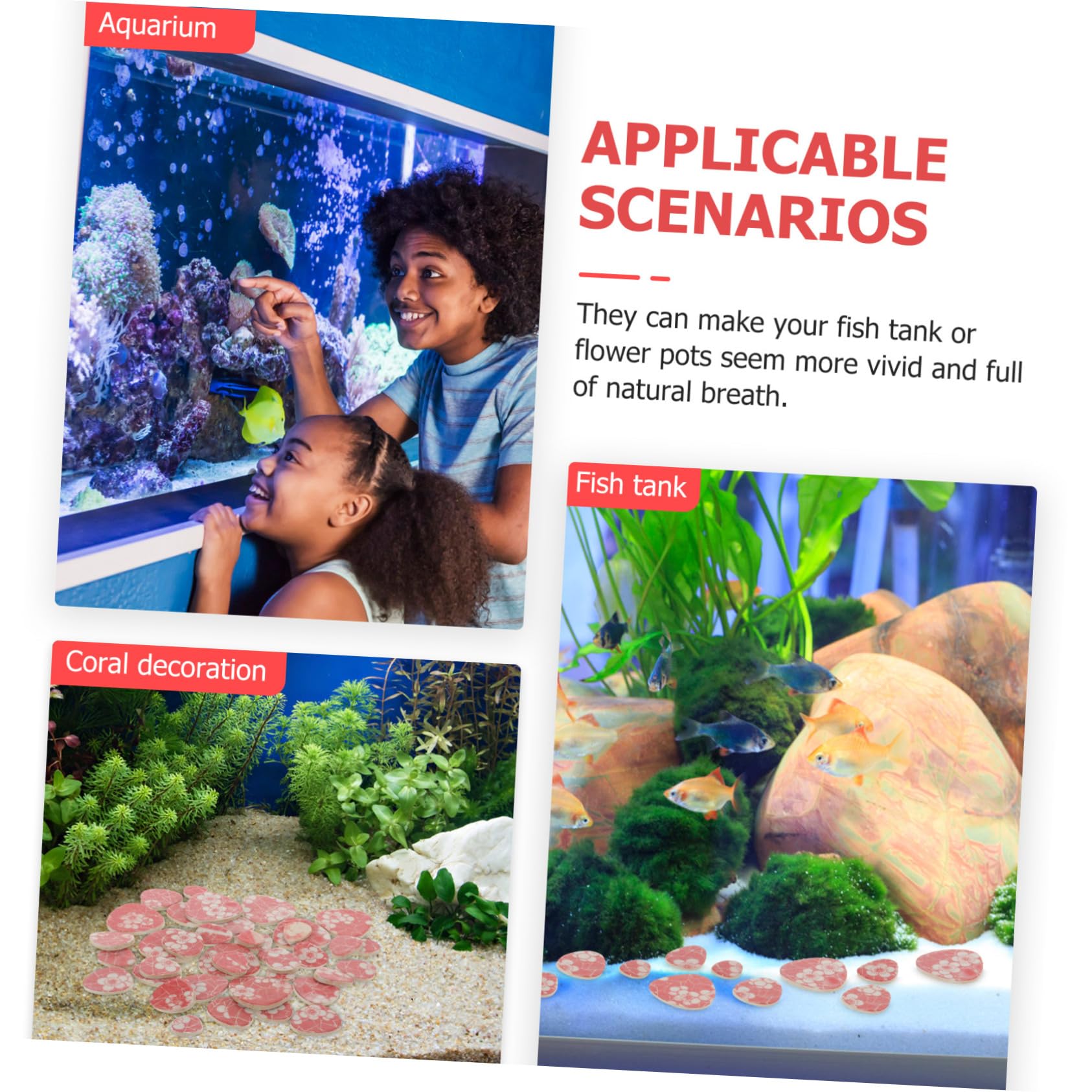 Toddmomy 2stücke Aquarium Deko-kieselsteine Polierte Natursteine Für Pflanzen Und Terrarien Für Aquarien-Dekoration Wasserfeatures Und Gartenwege Langlebig Und