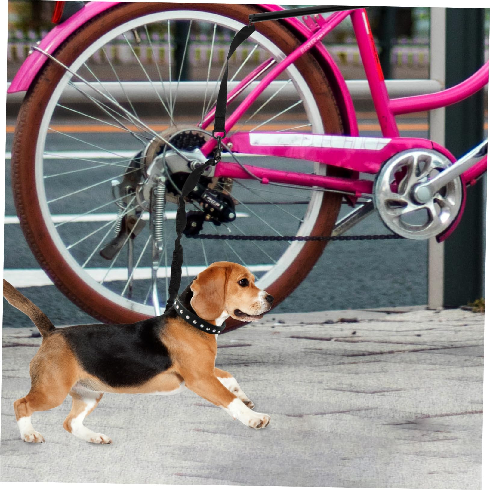 Laisse de Traction pour Chien Corde de Promenade Sécurisée Accessoire de Dressage pour Chiots Confortable et Durable Noire