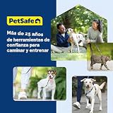 Ver la foto 8