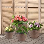 4 Pack 8 inch Plant Pot, Plastic Pots for Plants Indoor, Round Planters for Outdoor Plants with Drainage Holes & Trays, Decorative Flower Pots Garden Containers Sets (Black Copper)