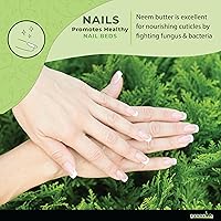 Vista 7 de GreenIVe Mantequilla de neem 100% pura, totalmente natural, aceite de semilla de neem hecha a mano, aceite de coco, mantequilla de kokum, aceite