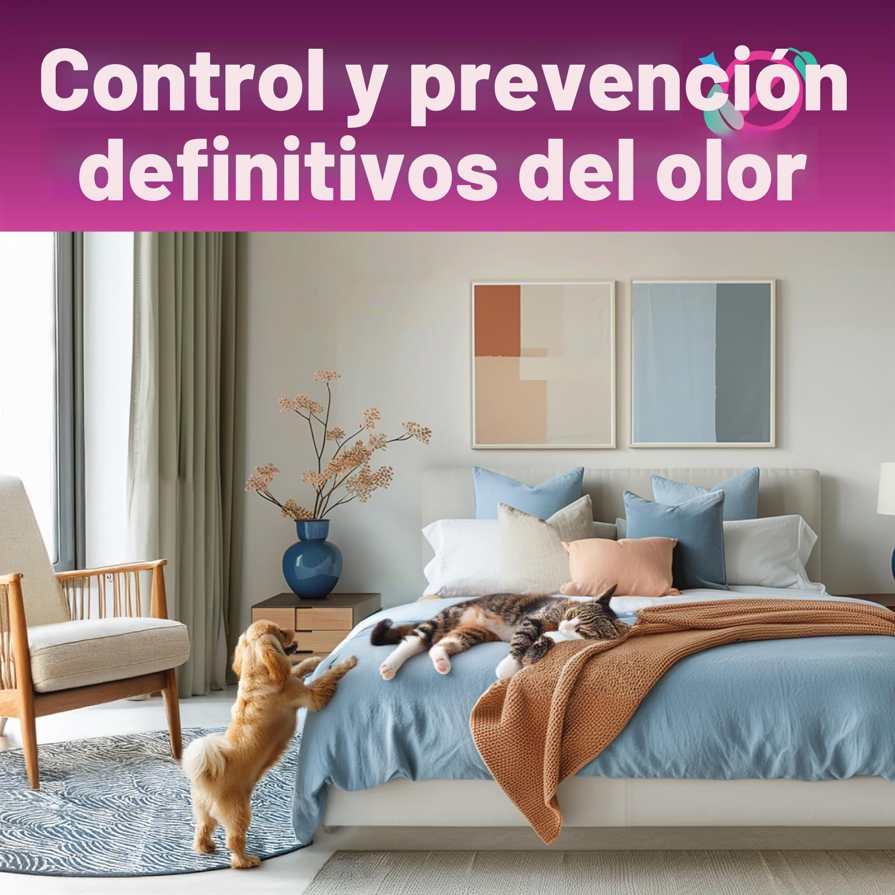 Dirtbusters Limpiador para Moquetas y Tapicerías 5L Fórmula Concentrada 3 en 1 Limpia y Desodoriza Moquetas y Tapizados. Elimina y Neutraliza los Malos Olores. Aroma Primaveral