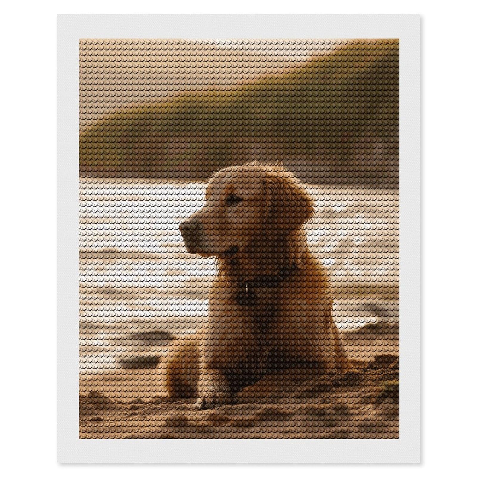 NONHAI Diamond Painting Kits for Adults - DIY Diamond Art Kits for Beginners - Full 5D Paint Drill Diamond Dots Paintings- Retriever Diamonds Pictures Gem Art and Craft Wall Decor 16"x20"