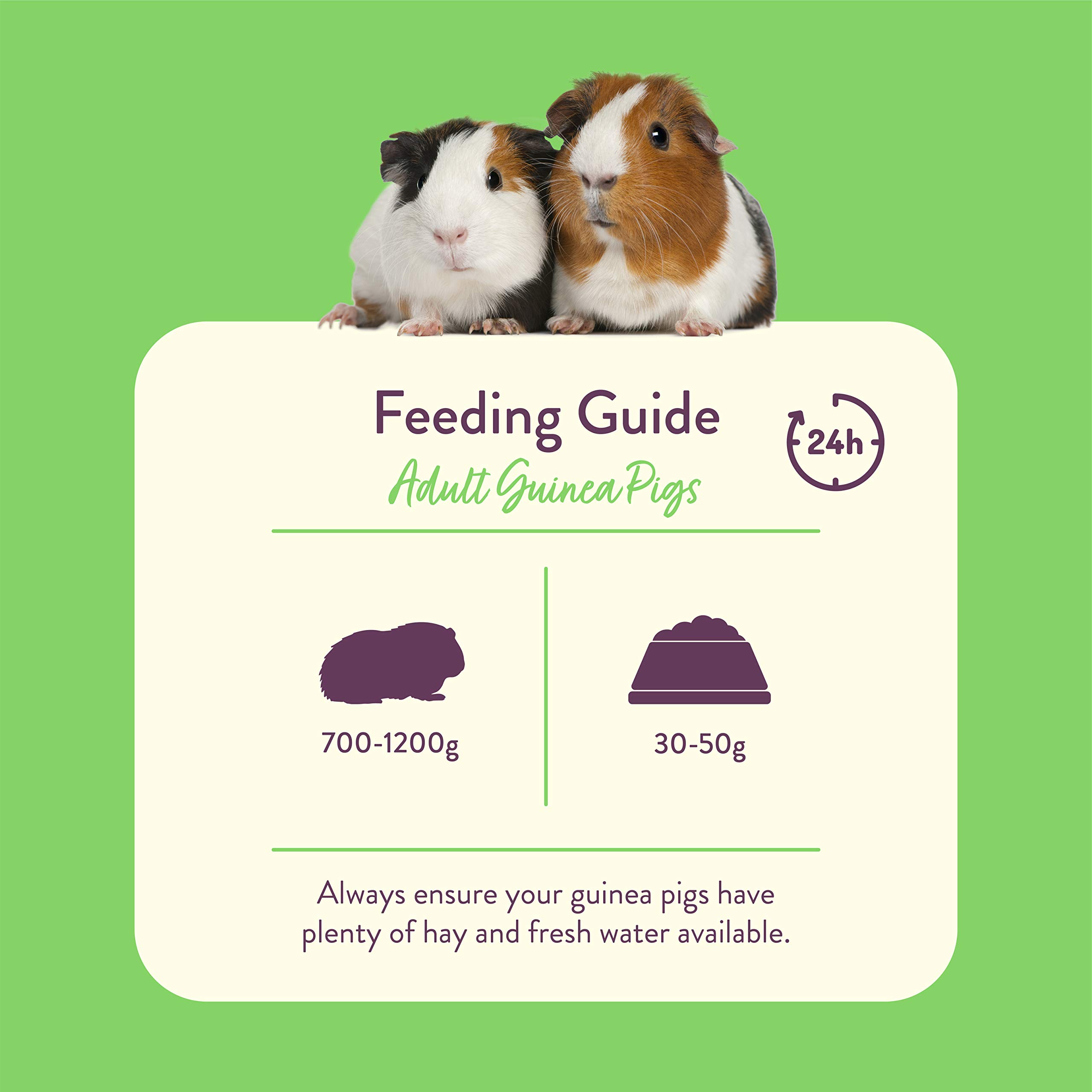 Burgess Excel Guinea Pig Nuggets with Mint, 4 kg Buy Online in United