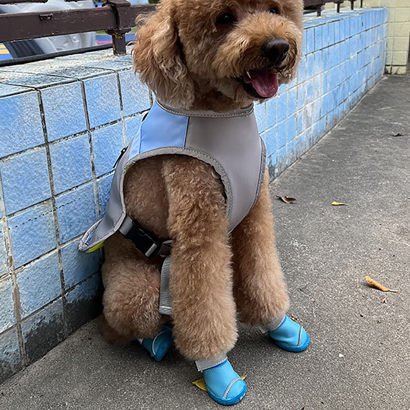 Bottes de Protection pour Chien Ensemble Imperméable Chaussures Chien Antidérapantes Chaussures Chiens Chaudes Résistantes pour Les Chiens