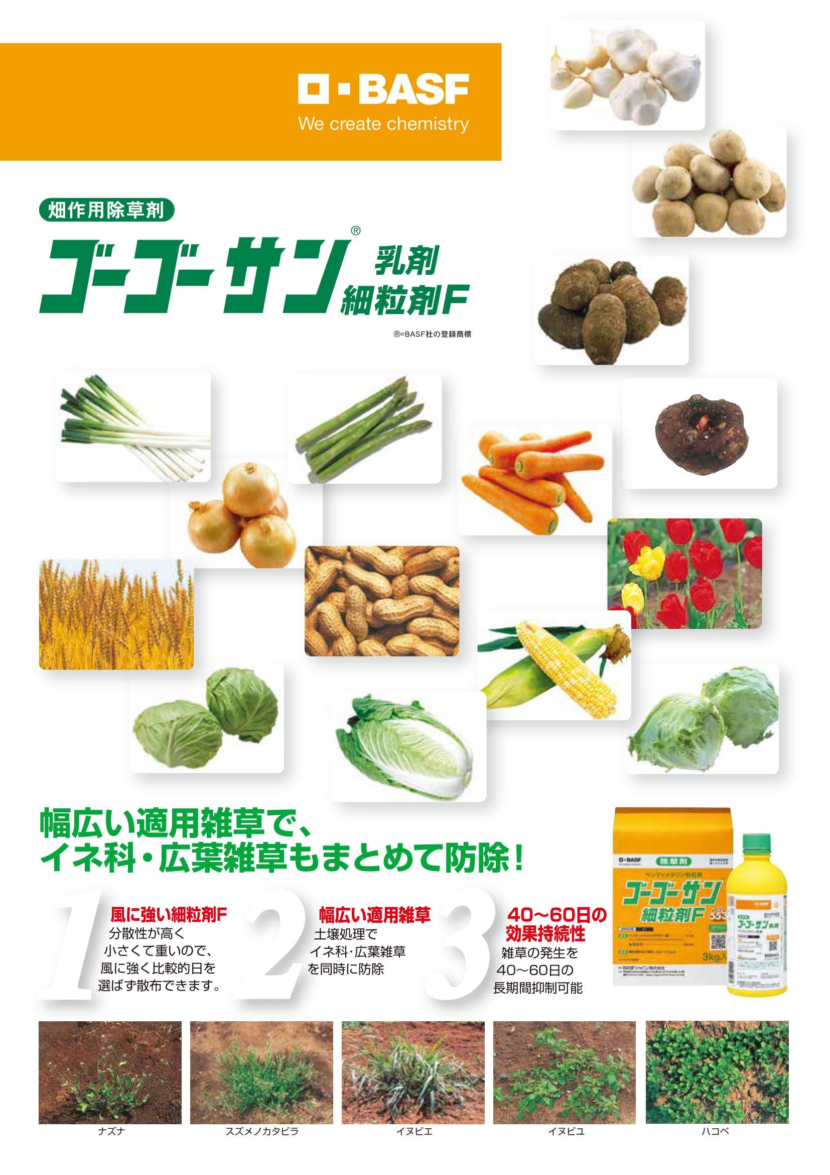 ゴーゴーサン粒 早瀬工業公式】ゴーゴーサン細粒剤F（畑作・野菜・花卉用除草剤