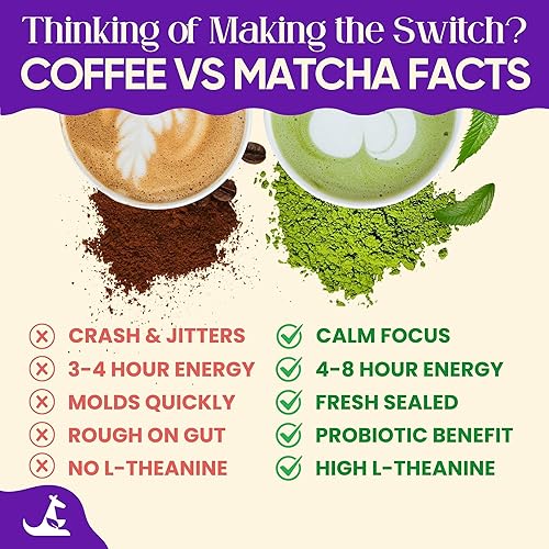 Miniatura 6 de Matcha de hongos 5.29 oz (25 porciones, 70 mg de cafeína, cero azúcar) con melena de león, Cordyceps, Reishi, Chaga  Adaptogénico, nootrópico,