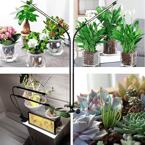 Miniatura 4 de Luces de cultivo para plantas de interior de espectro completo, luces LED FRGROW para cultivo de plantas, 3000k5000k660nm, lámpara de planta con