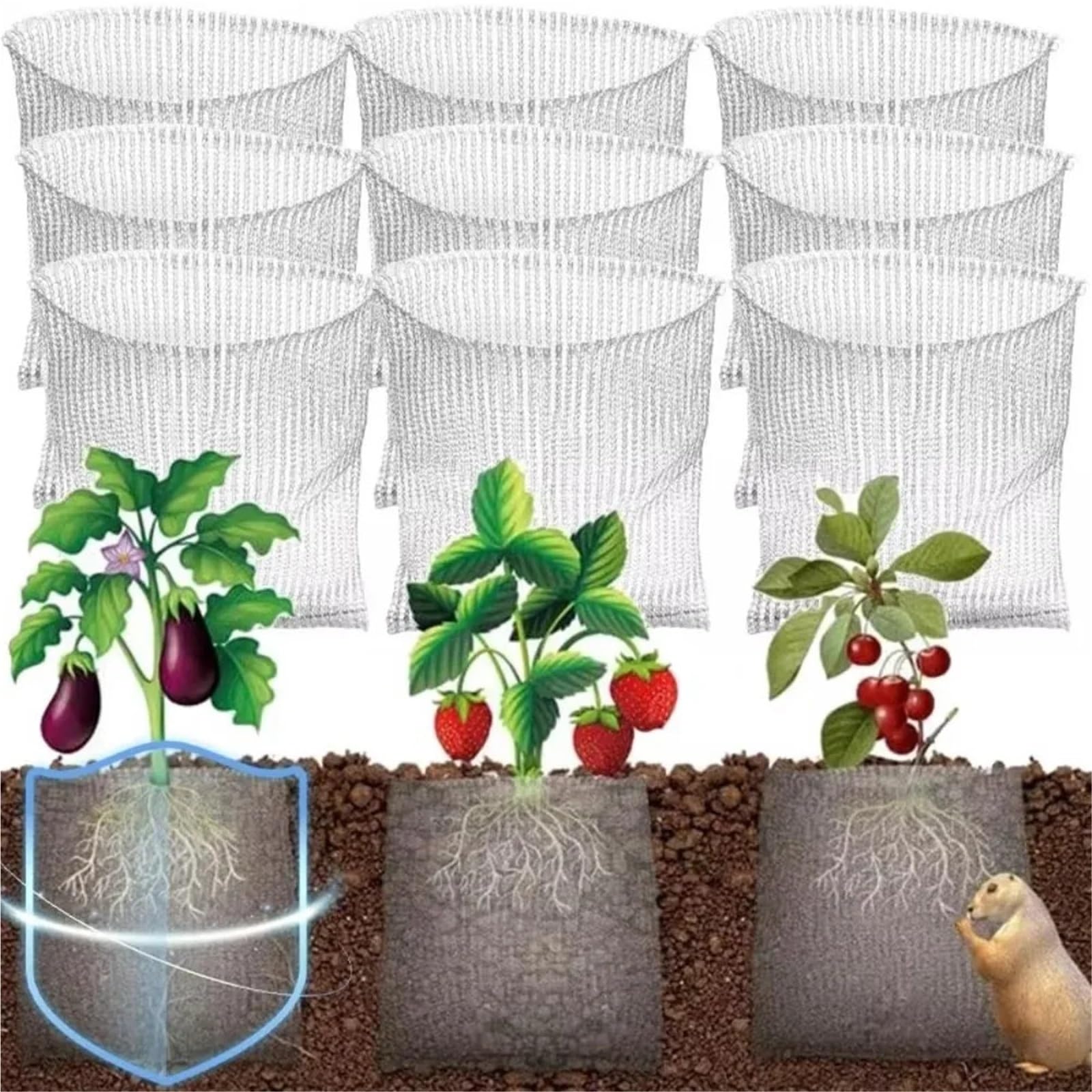 ZNJAMN 5pcs Stainless Steel Insect-Proof Net Bag Dense Mesh Rat Prevention Plant Root Protection Cover Wire Cage Tear Resistant for Plant Roots(13.78x13.78in)