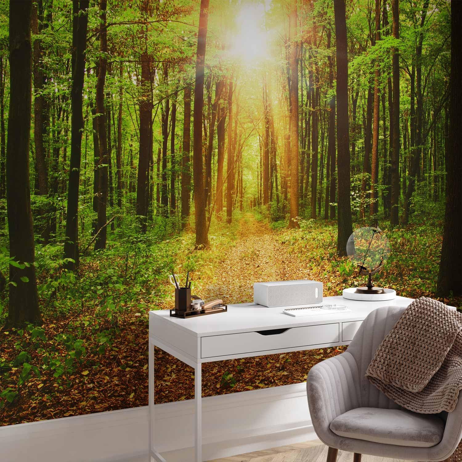 artgeist Wall Mural Green Forest 154x110 in - Peel and Stick Self-Adhesive Wallpaper Removable Large Sticker Foil Wall Decor Print Picture Image Design c-B-0076-a-b