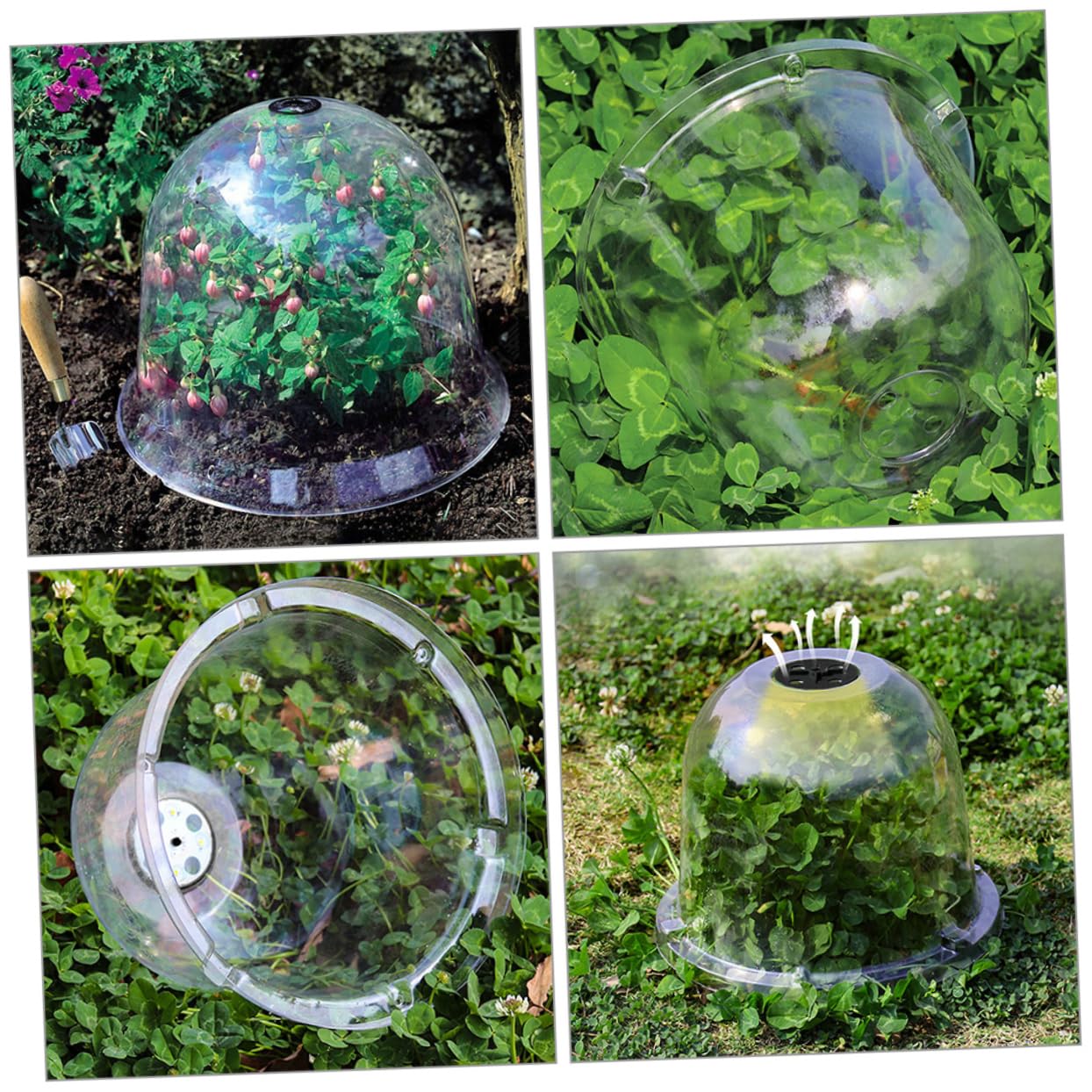 Abaodam 6pièces Cloche Plastique pour Plantes De Jardin Cloches De Protection Gel pour Plantes Extérieur
