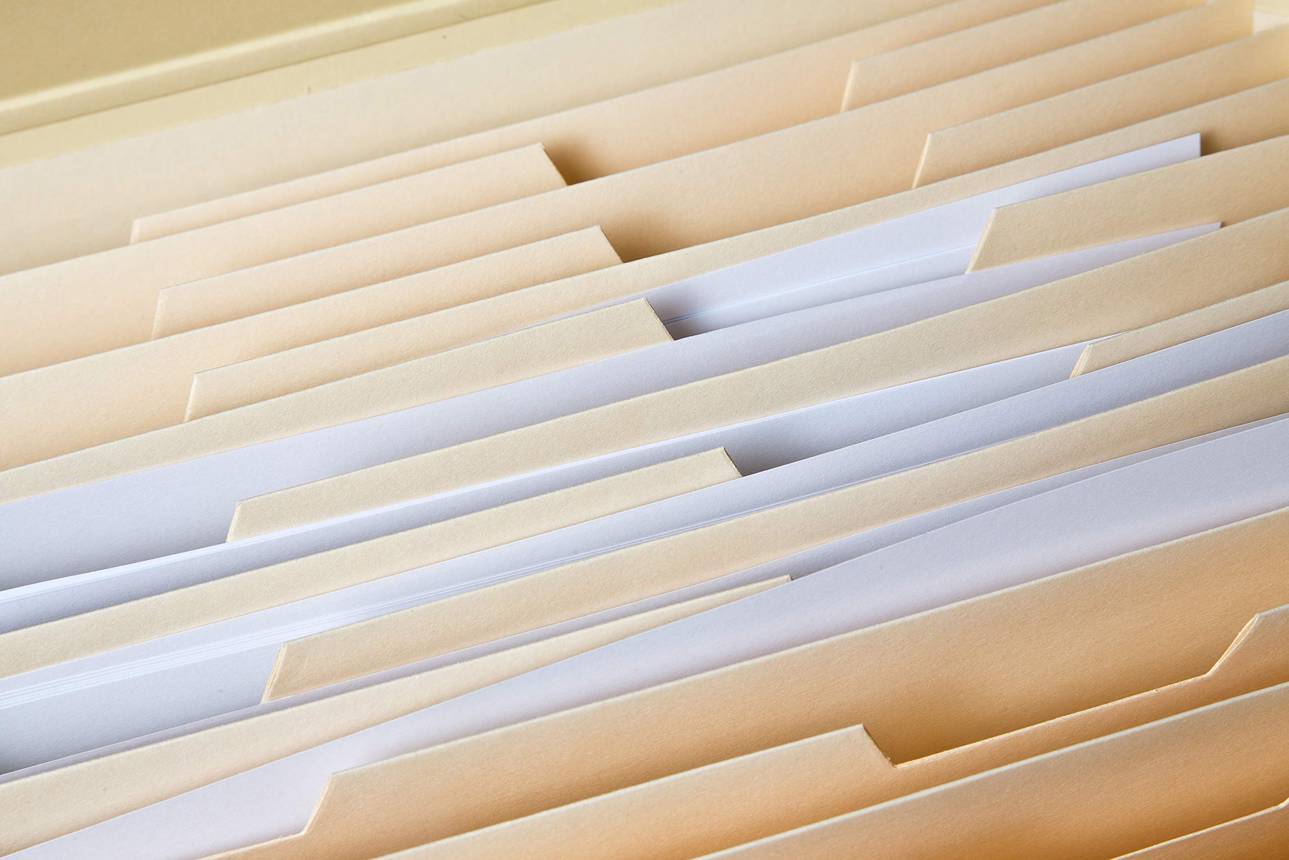 Buy DESKit Locking File Folder Organizer Expandable, Portable, Letter