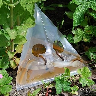 SLUG TRAPPER - 20 Slug Traps for Indoor and Outdoor - Disposable Garden Snail and Slug Beer Traps, Pet Safe & Pet Friendly Repellent, Home and Garden Slug Pellets Alternative - Slug Killer - Slug Trap