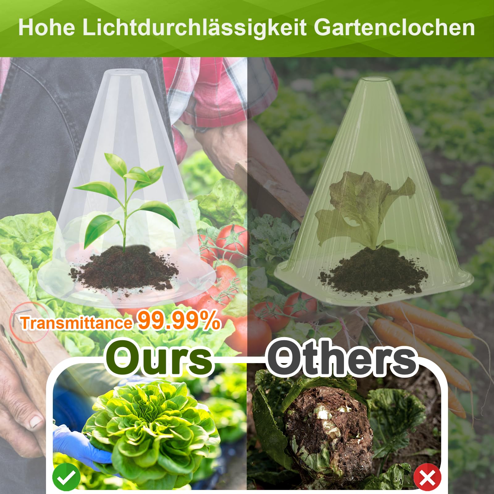Chapeaux de Plantes Transparent 20 cm 24 Pièces Protection Oiseaux Gel Intempéries