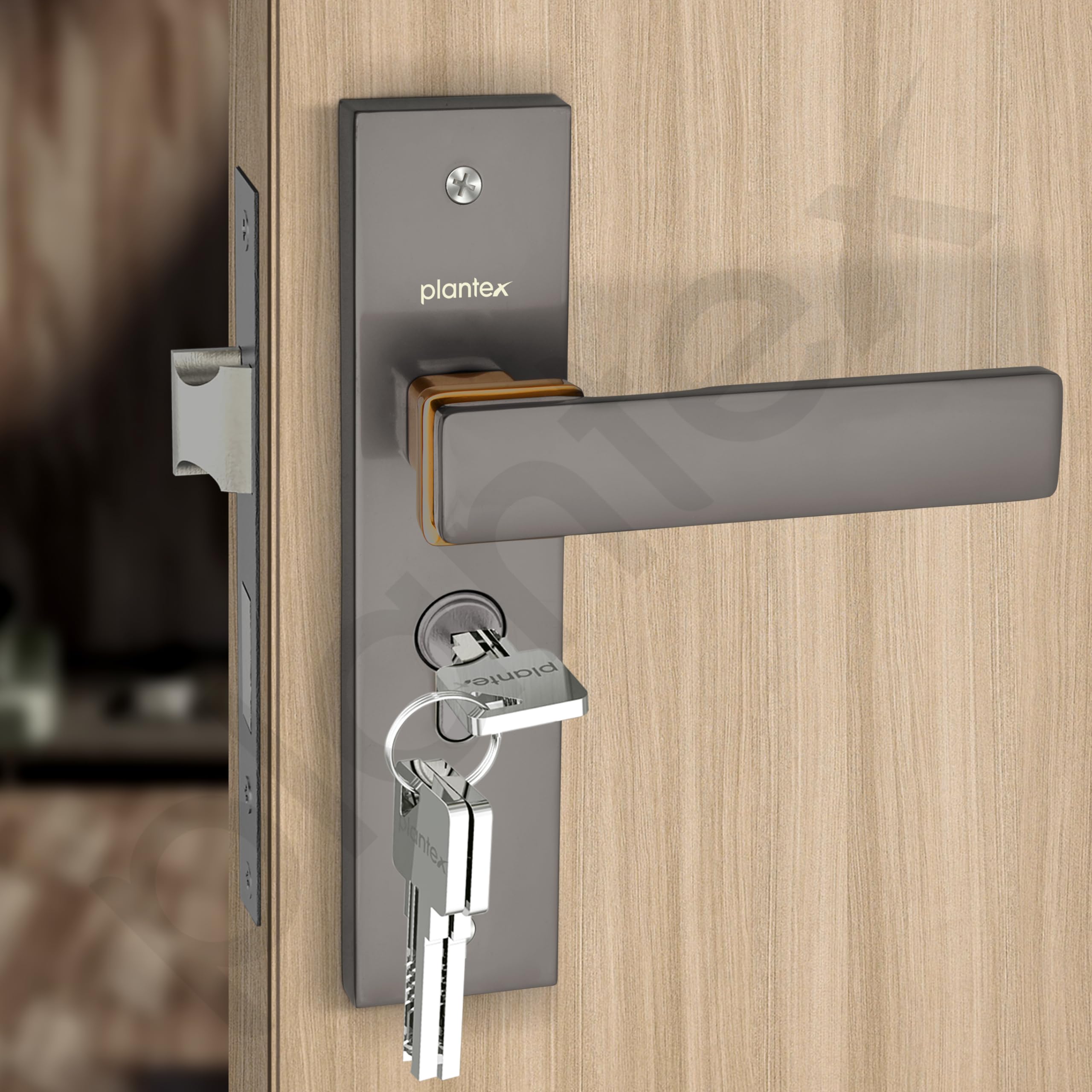 Plantex Heavy-Duty Door Lock - Secure & Stylish -5