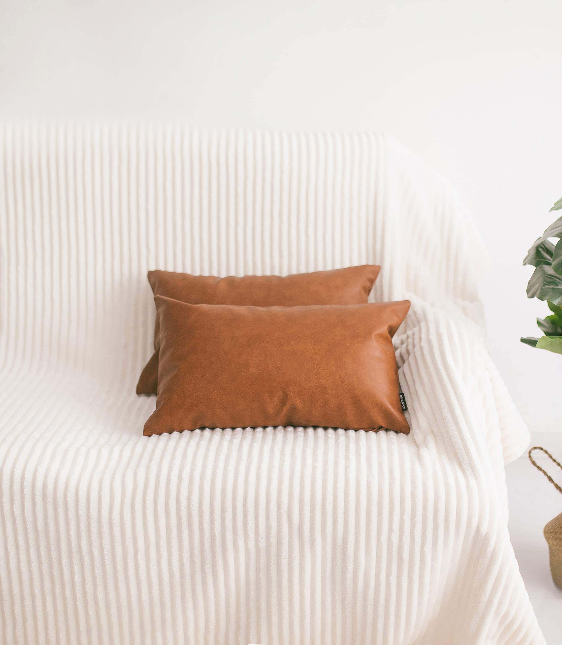 Homey COZY Federa Per Cuscino In Velluto Beige Chiaro | 30,5x50,8 Cm, Morbida Con Cerniera