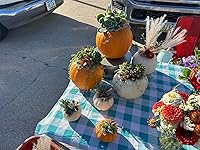 Review Image by Kb Kb