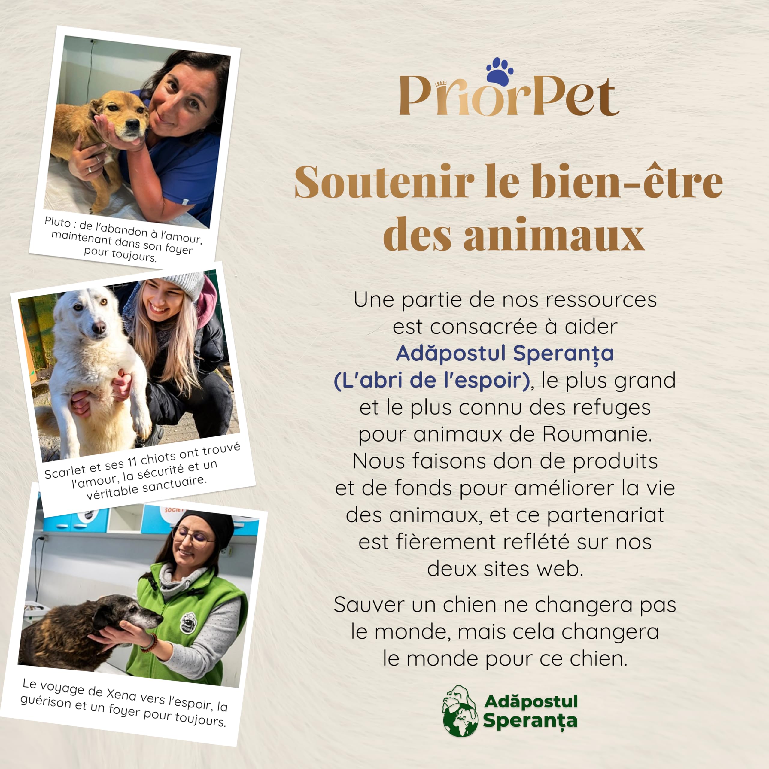 Rampe pour Chien Voiture, SUV - Rampe télescopique Extensible pour Grands Chiens - Stable - Antidérapante - Bordures réfléchissantes pour la sécurité de Nuit - Capacité 90kg - Clip de Fixation Gris