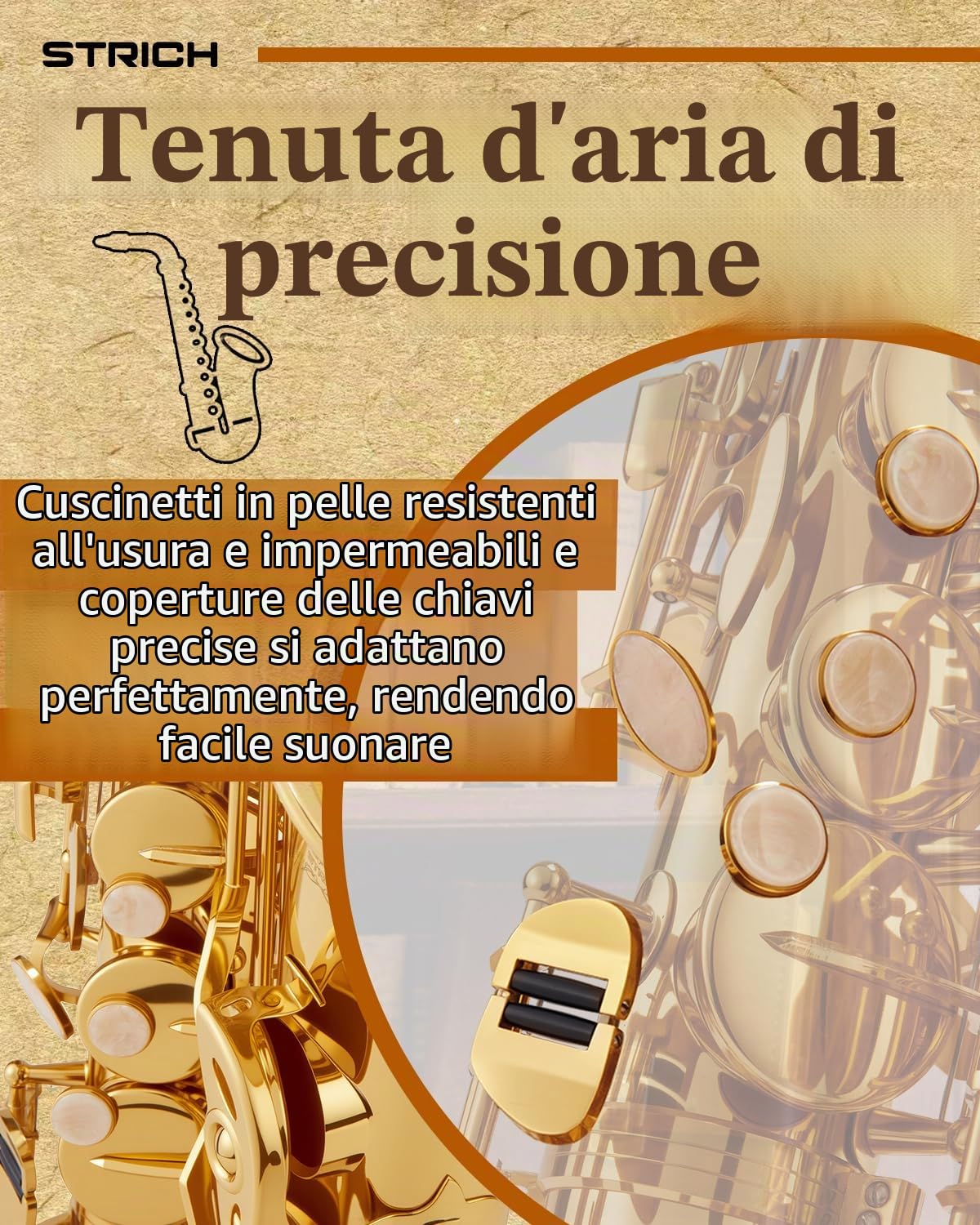 STRICH Kit per sassofono contralto in ottone per principianti, con tracolla, bocchino e ance, ideale per la banda scolastica e lo studio a casa, SAS-130G, dorato