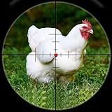 Juego de tiro con arco para cazar pollos: juegos de caza de animales: juegos de supervivencia en la jungla - Nuevos juegos 2025