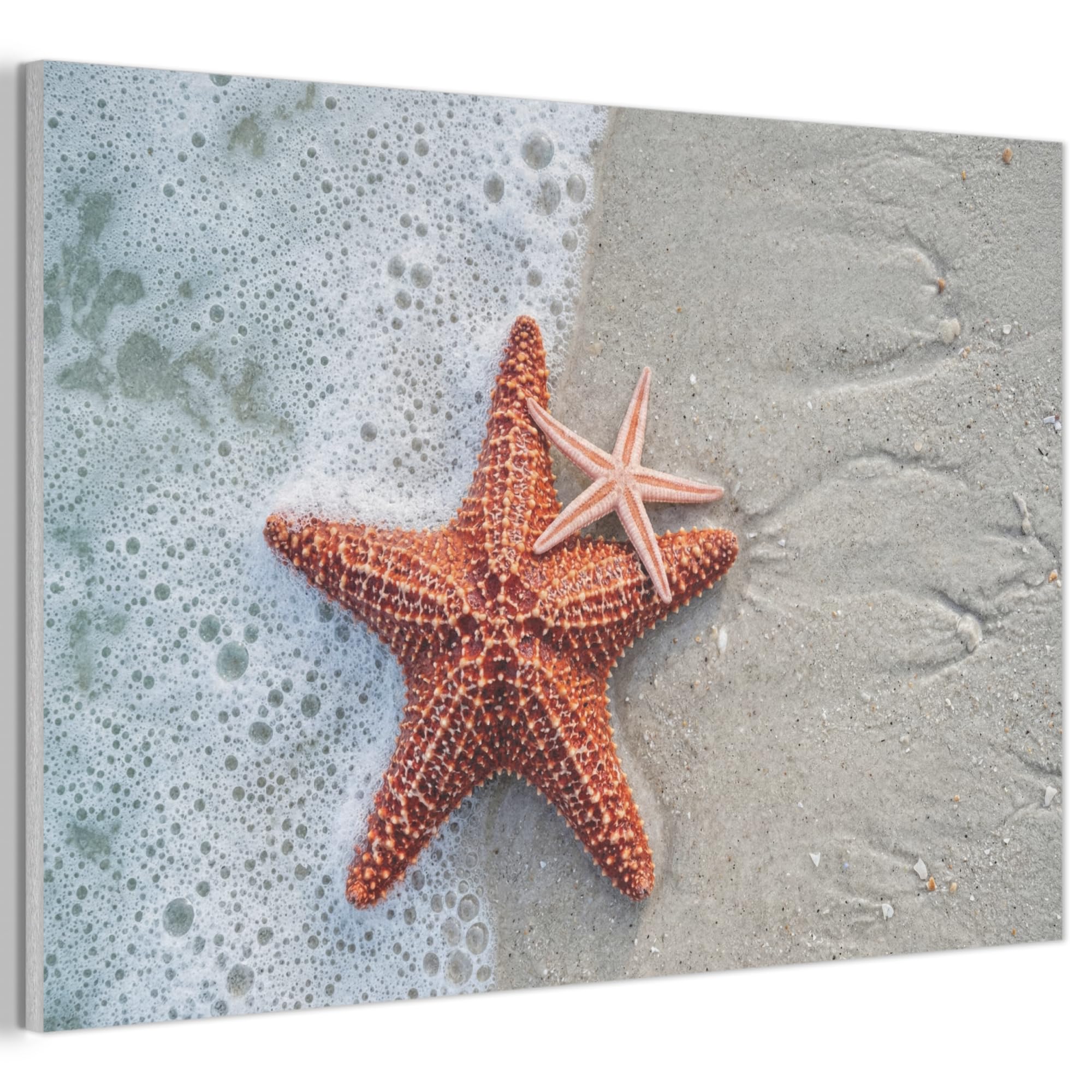 MuchoWow© Felt Panel 90x60 cm Room Style Piece Wallfillers Visual Display Decoration Wall Art Starfish - Beach - Sea