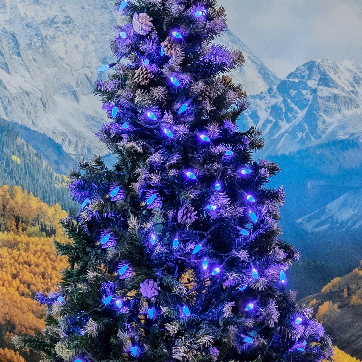 Novelty Lights 50FT 100 LED C6 Christmas String Lights, Outdoor Commercial Grade Tree Decorations, Permanent LED Lights (Blue)