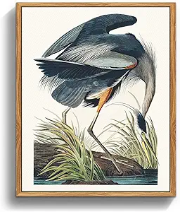 crmotu Vintage Framed Wall Art, Blue Heron Animal Canvas Art Prints, Tropical Bird Nature Wall Decor Pictures, Still Life Aesthetic Wall Paintings for Living Room Bedroom Kitchen Office, 16x24 inch