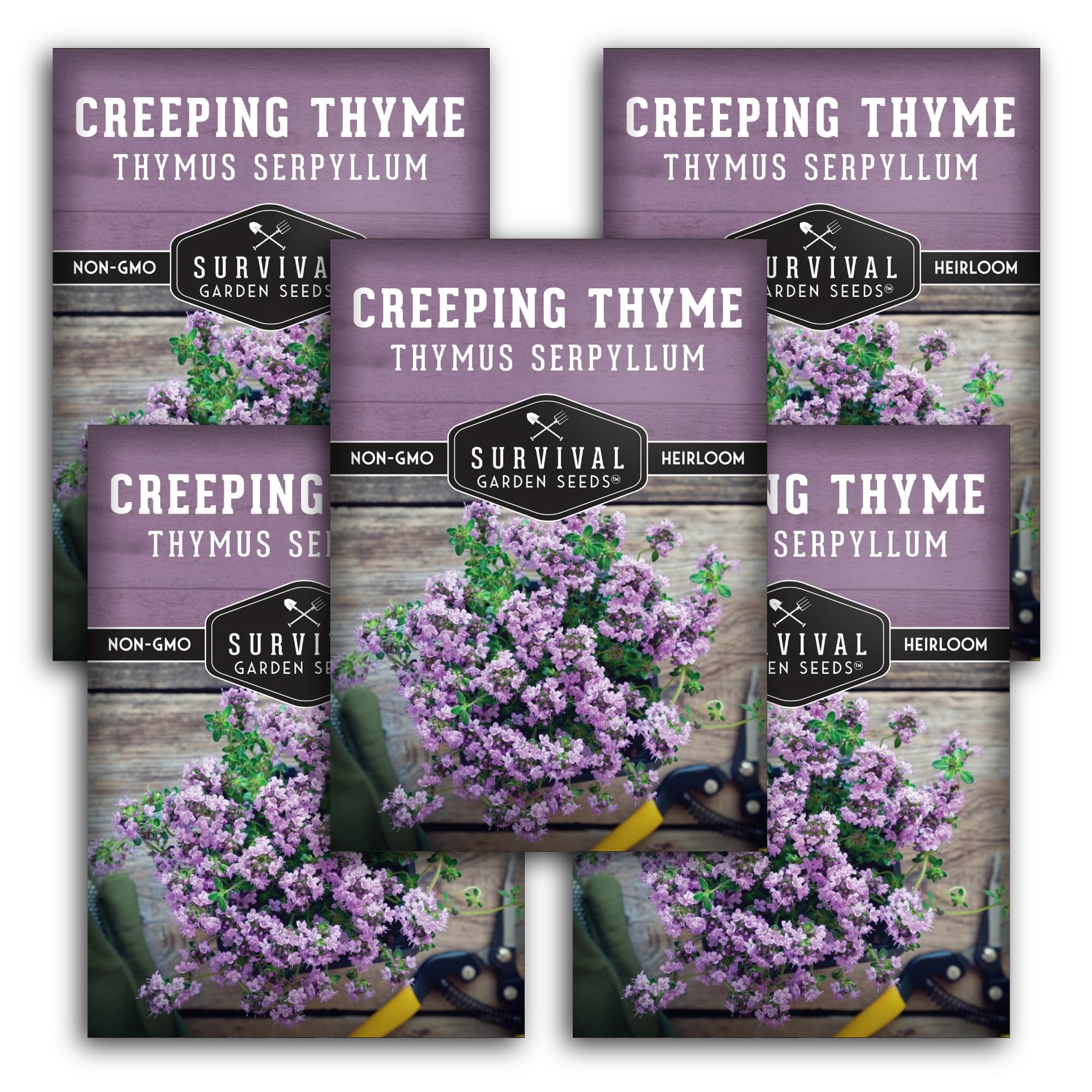 Survival Garden Seeds Creeping Thyme