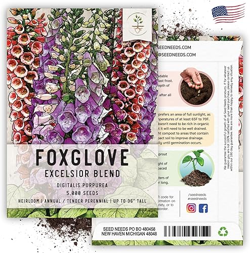 Miniatura 6 de Seed Needs Excelsior Mix Fox Glove - Semillas de dedalera para plantar un jardín de mariposas al aire libre con coloridas flores silvestres (paquete