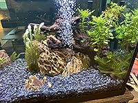 Review Image by KettleCaress KettleCaress