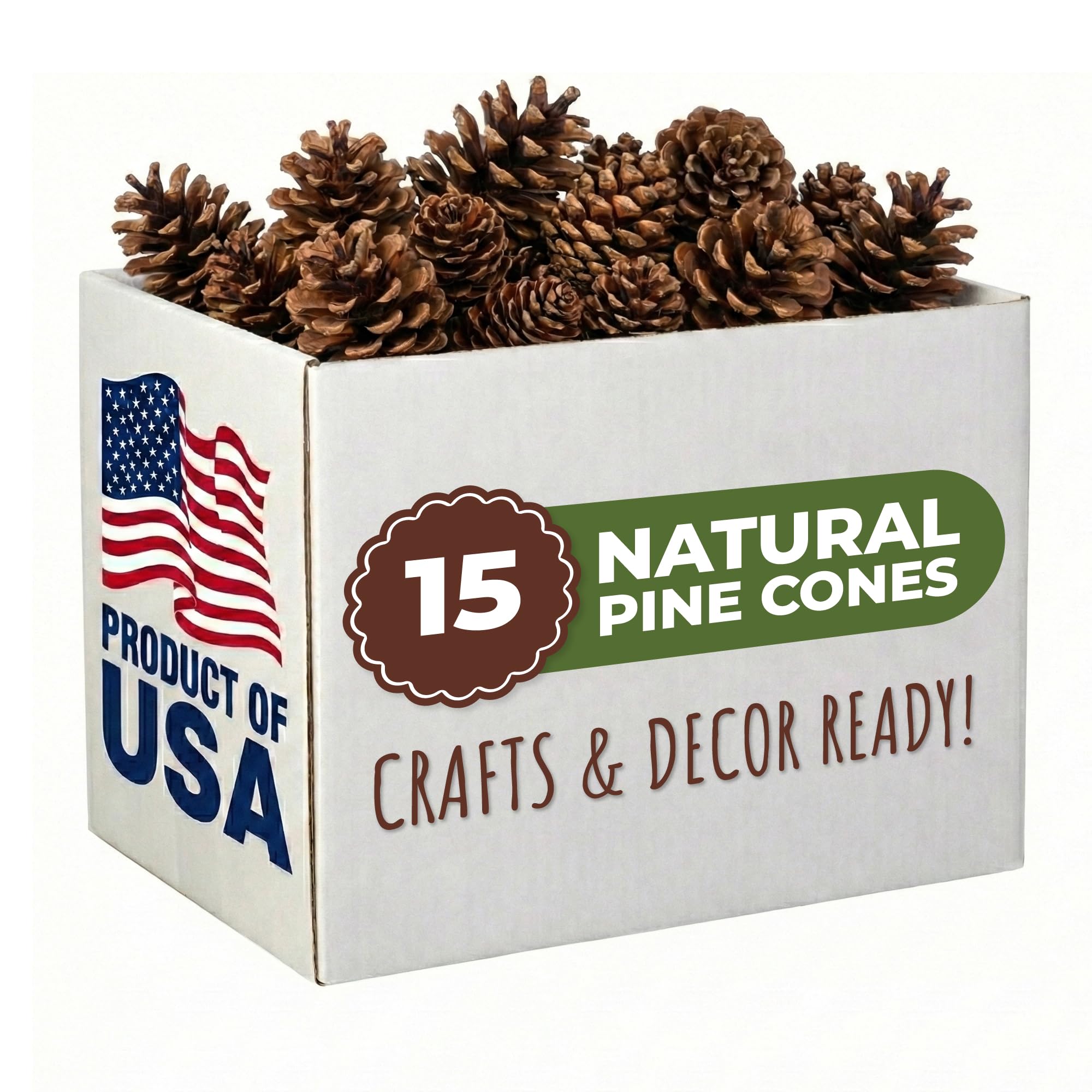 Tumbler Home 15 Loblolly Pine Cones
