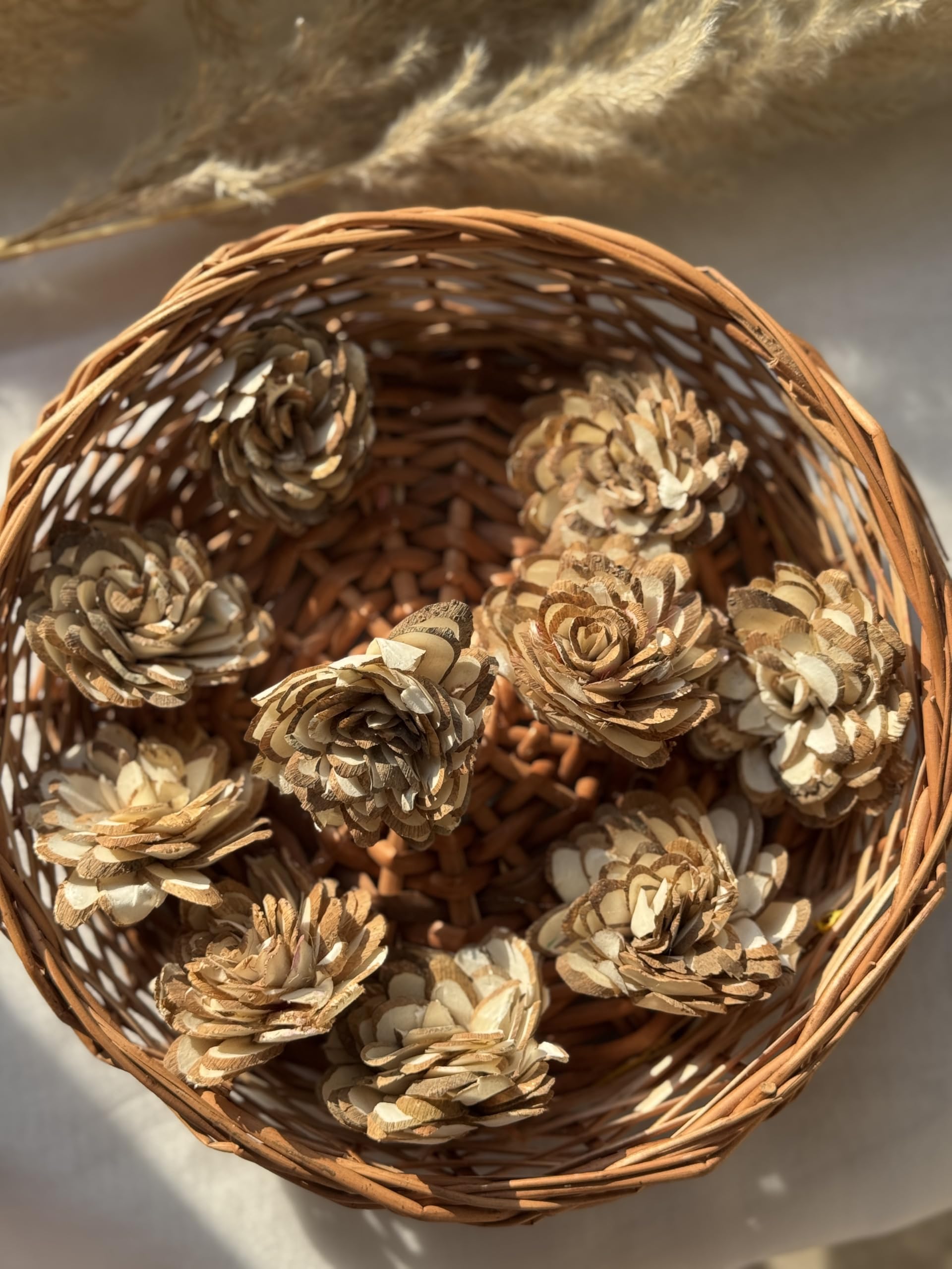 Sola Almond Flower | 10 Piece |Handcrafted, Petal-Rich & Lightweight Bloom for Natural Floral Dcor & Creative Crafts-image-15
