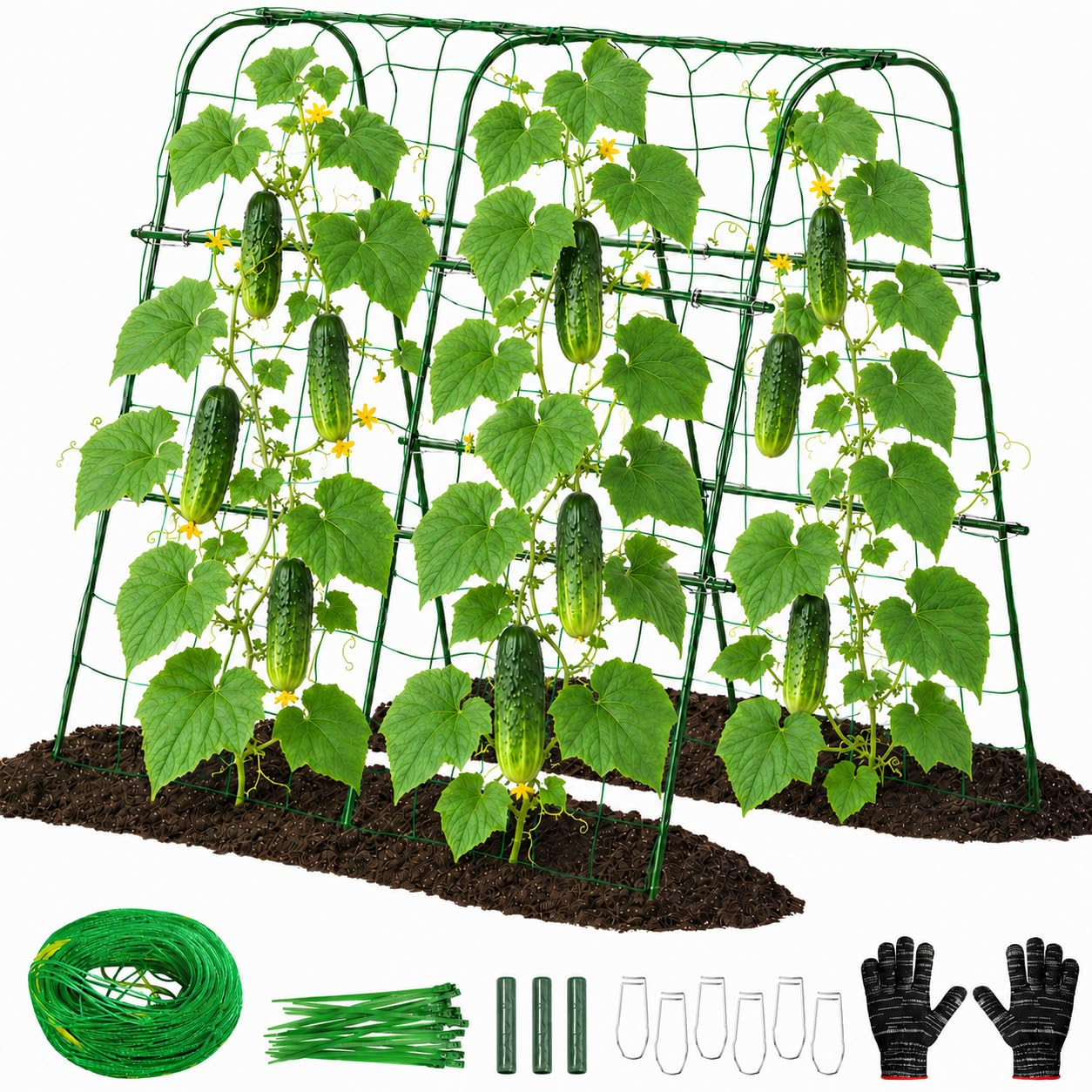 FOLLOOK Cucumber Trellis 48x48 Inch Arch