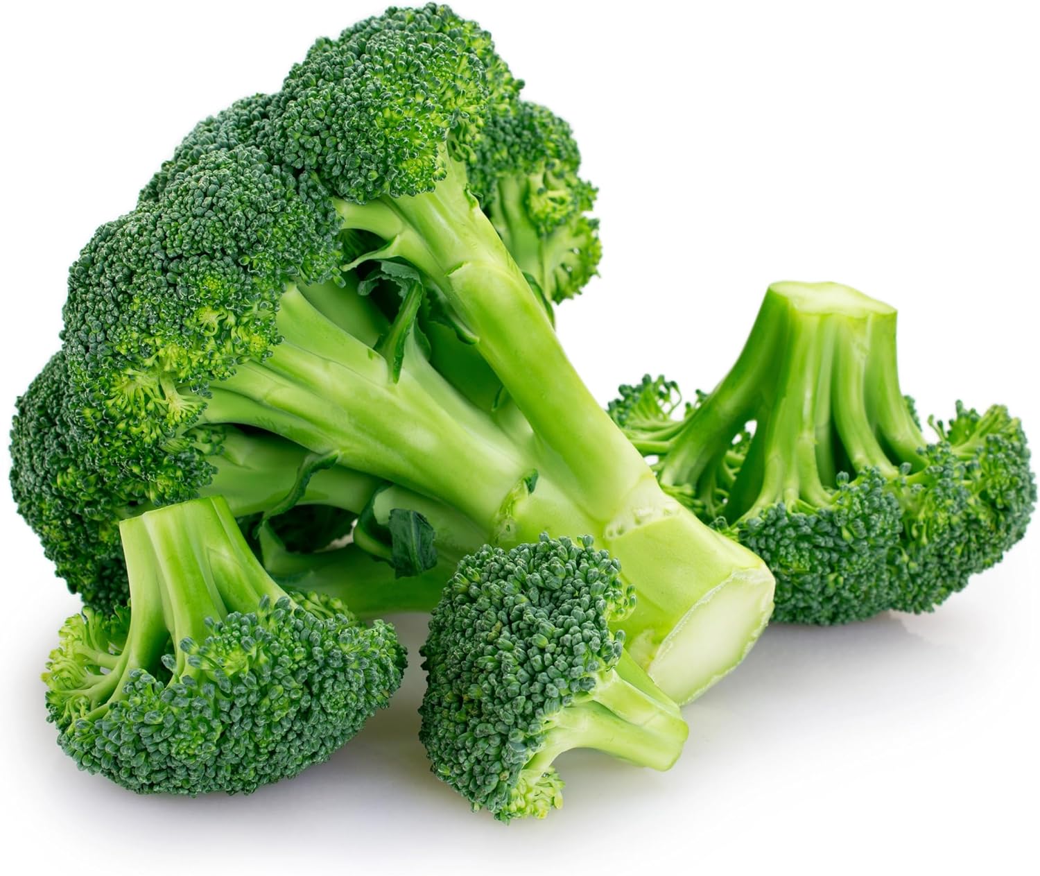 Amazon.com : Broccoli Seeds for Planting Waltham 29 - Heirloom Non-GMO ...