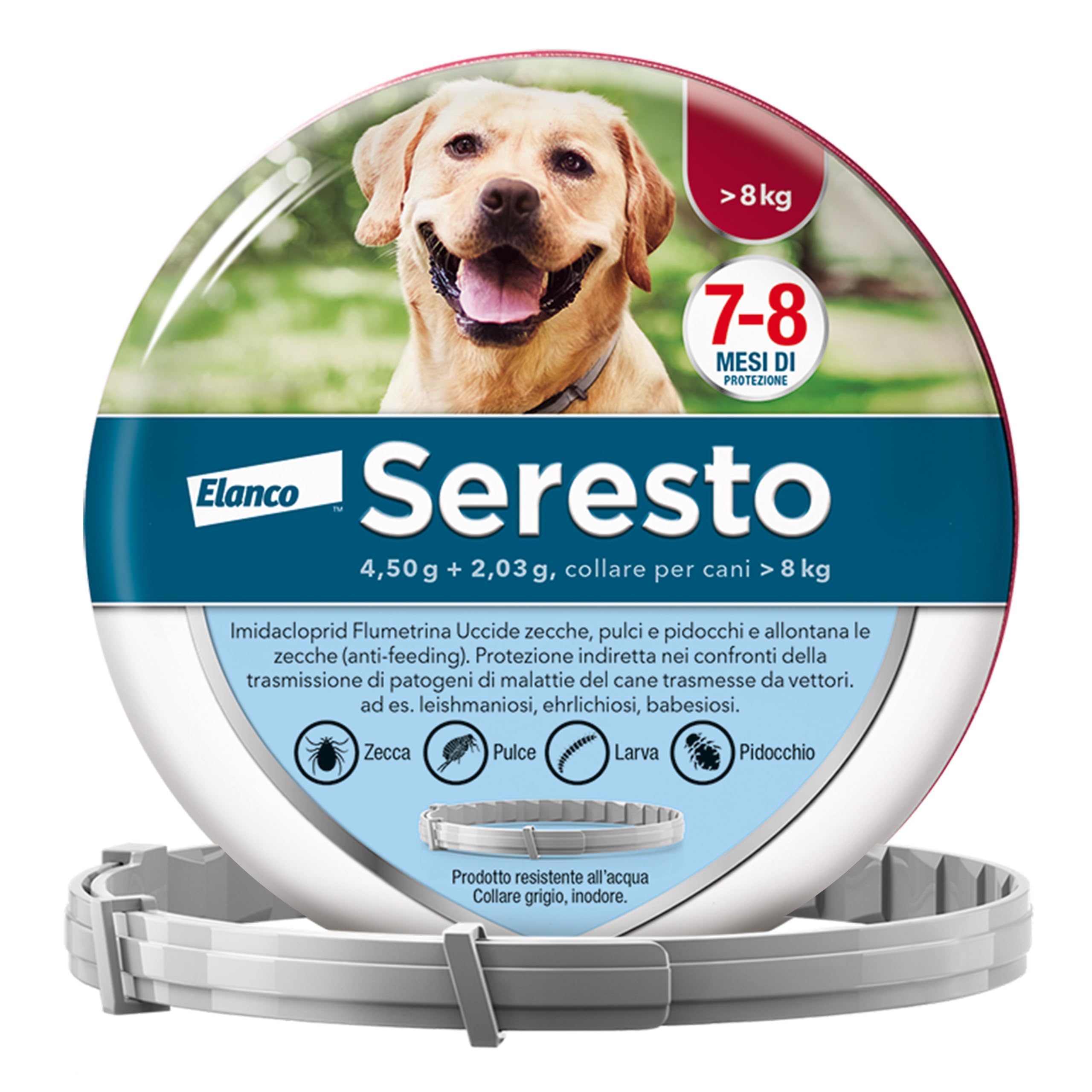 Elanco Seresto Collare antiparassitario, Per cani oltre 8 kg, Elimina pulci, zecche, pidocchi e protegge dal rischio di trasmissione della leishmaniosi fino a 8 mesi, 1 collare - 2