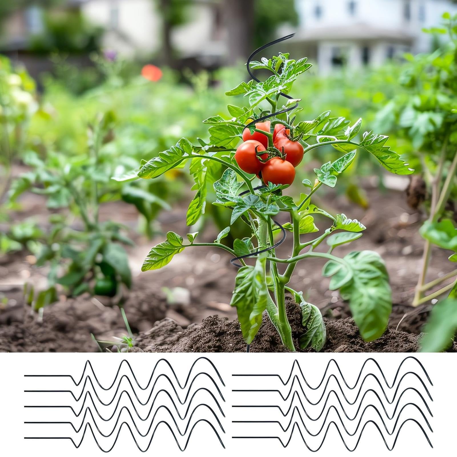 Pali Per Pomodori Resistente al multifunzionale