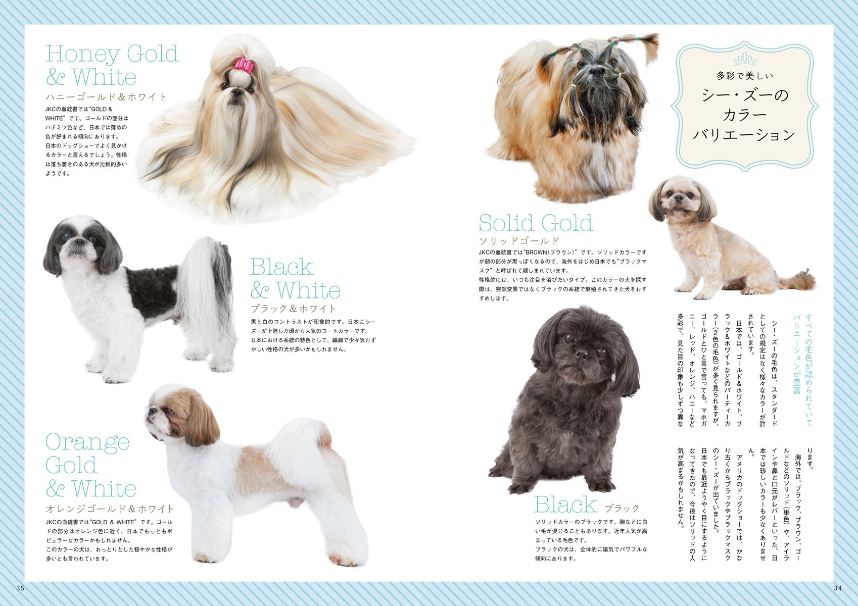愛犬の友 16年 09 月号 本 通販 Amazon