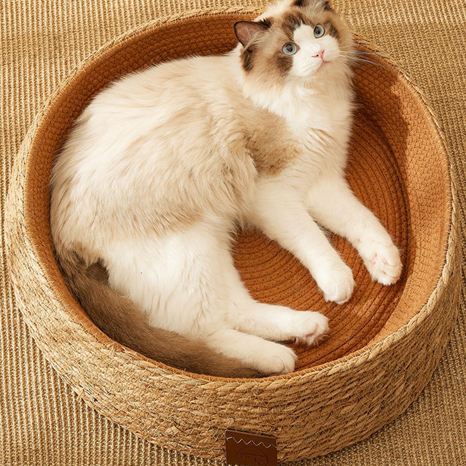 Cuccia per gatti – cuccia portatile per animali domestici | mobilia multifunzionale per gatti, in resistente, accogliente per , cuscino reversibile in peluche accogl