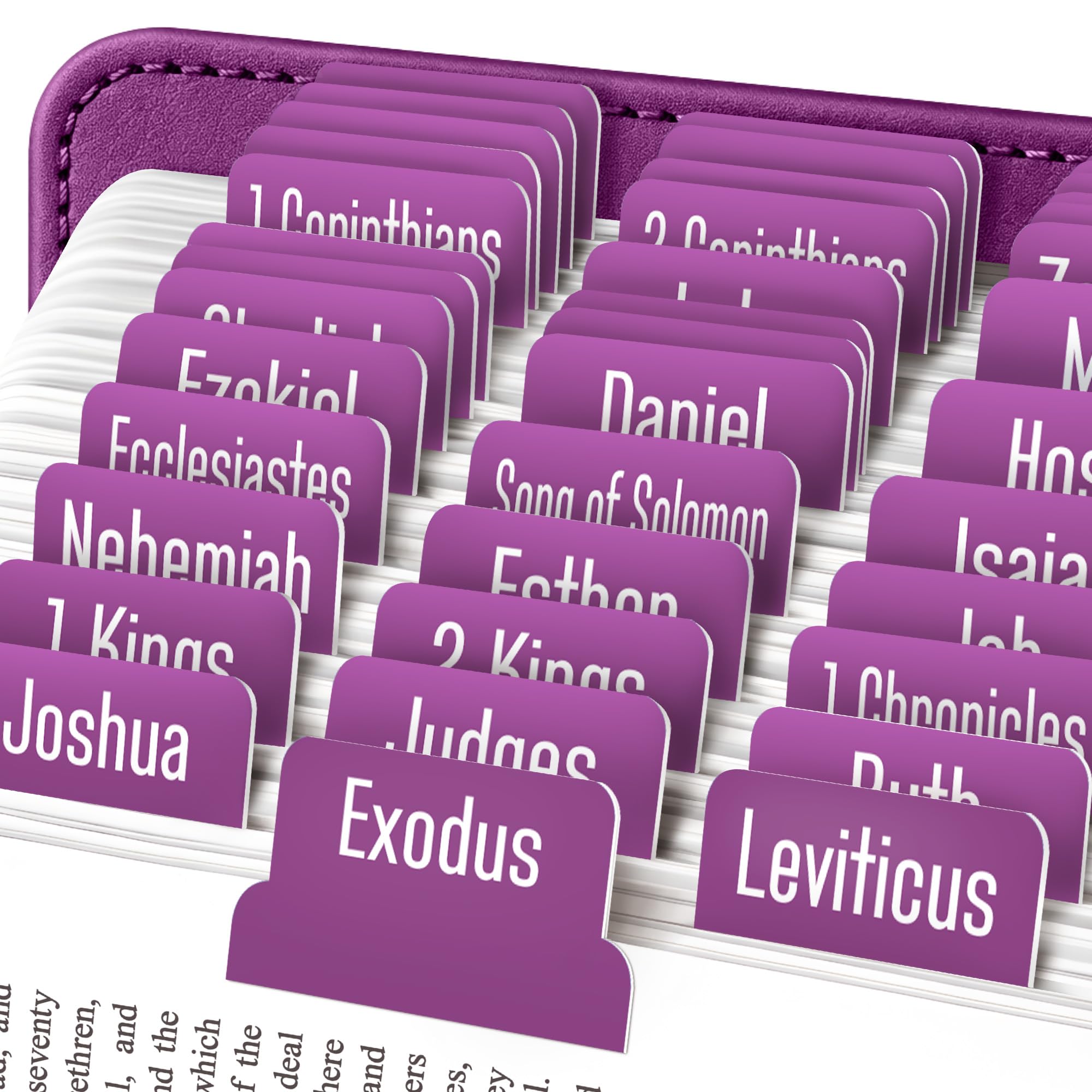 EssexWares - Plum Bible Tabs for Old and New Testament, 80 Large Print Tabs for Bible Study, Water-Resistant and Durable Index Tabs for Women and Men - 1.7" Wide