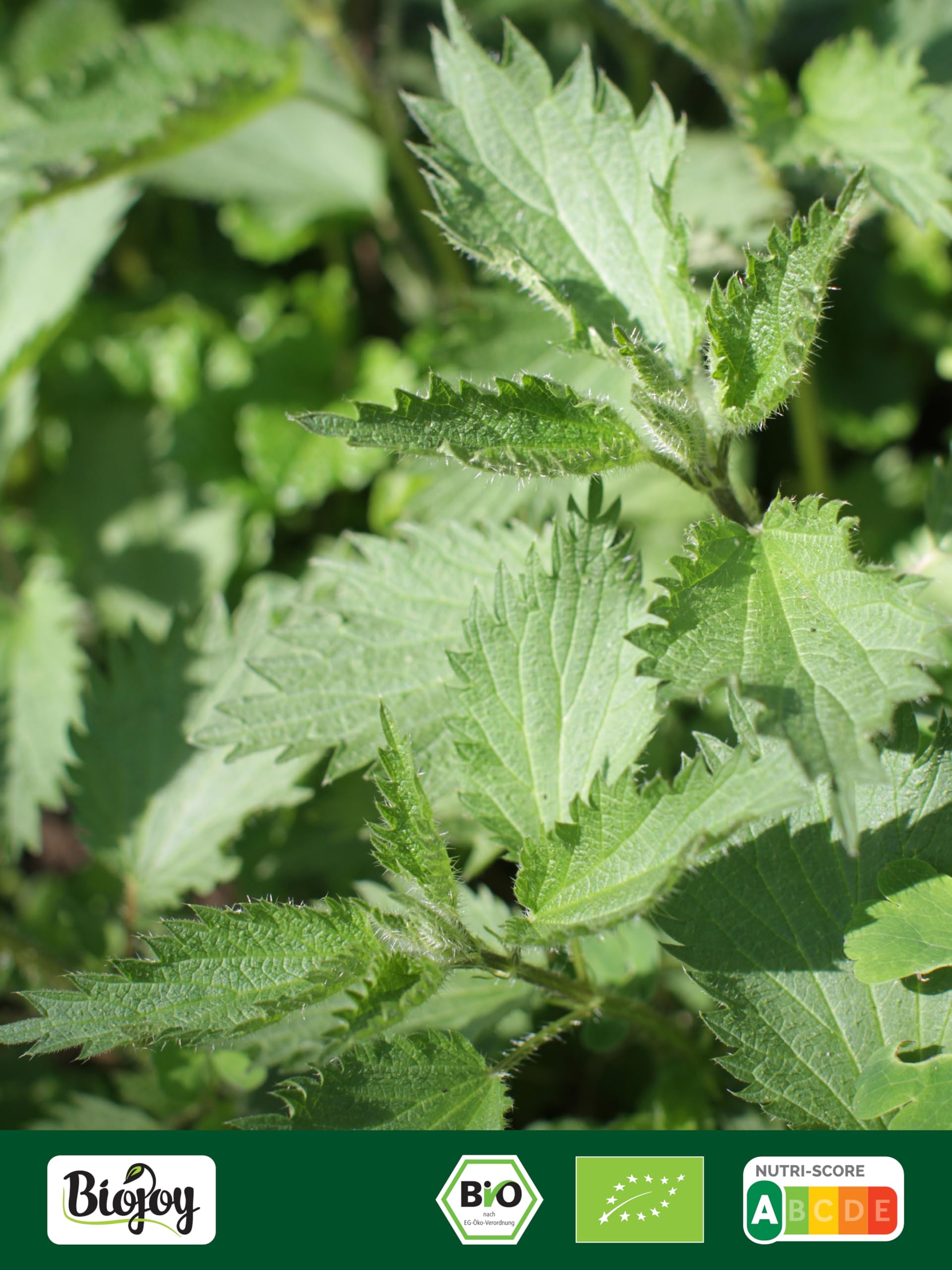 Biojoy Ortica in Polvere BIO (500 g), Foglie di Ortica Essiccate e Macinate, Tè all'ortica (Urtica dioica)