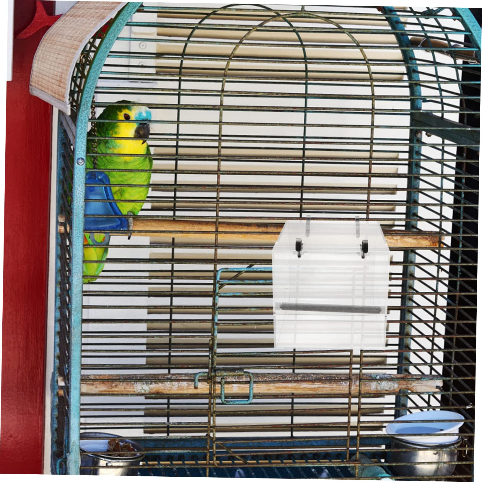Mangeoire à Oiseaux Automatique en Plastique à Suspendre pour Perroquet