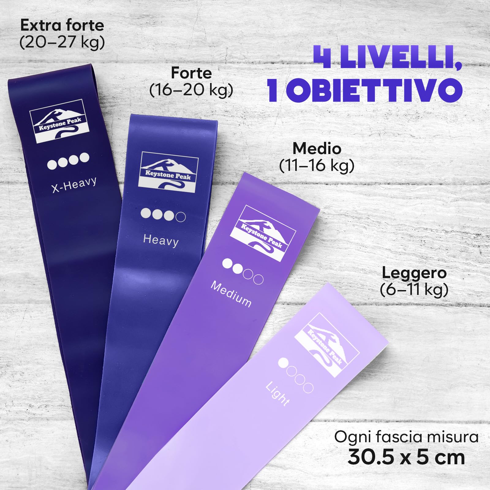 Kit Pilates – Pilates Essential Kit con Cerchio da 14", Mini Palla, 4 Fasce Elastiche, Poster & Borsa – Set Allenamento Completo per Tonificare e Rafforzare a Casa o in Viaggio
