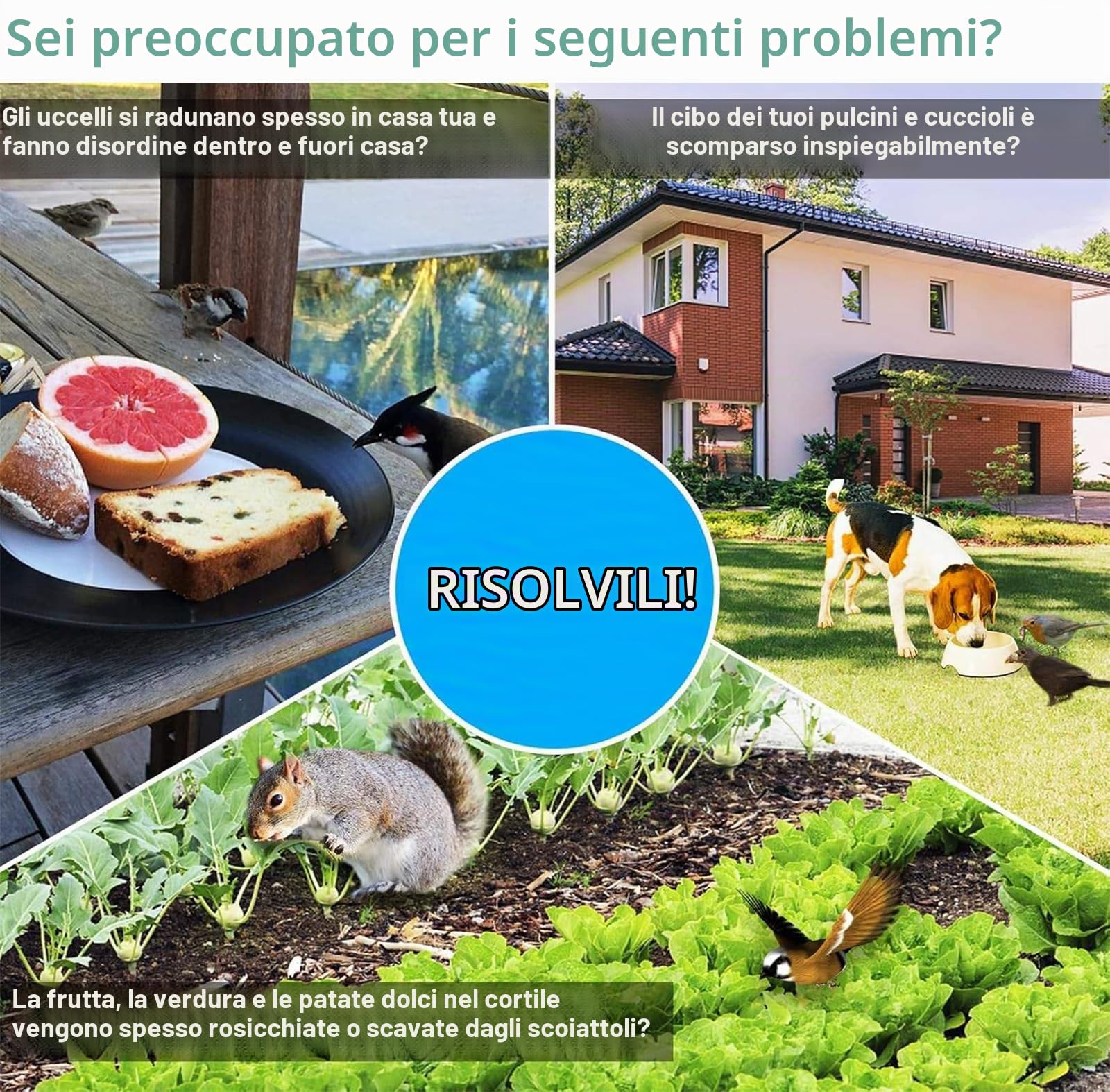 Dissuasore Laser Portatile per Allontanare Gli Uccelli, Repulsore per Uccelli con Laser Verde Ricaricabile, Dispositivo Portatile per Spaventare Gli Uccelli, con Funzione Torcia
