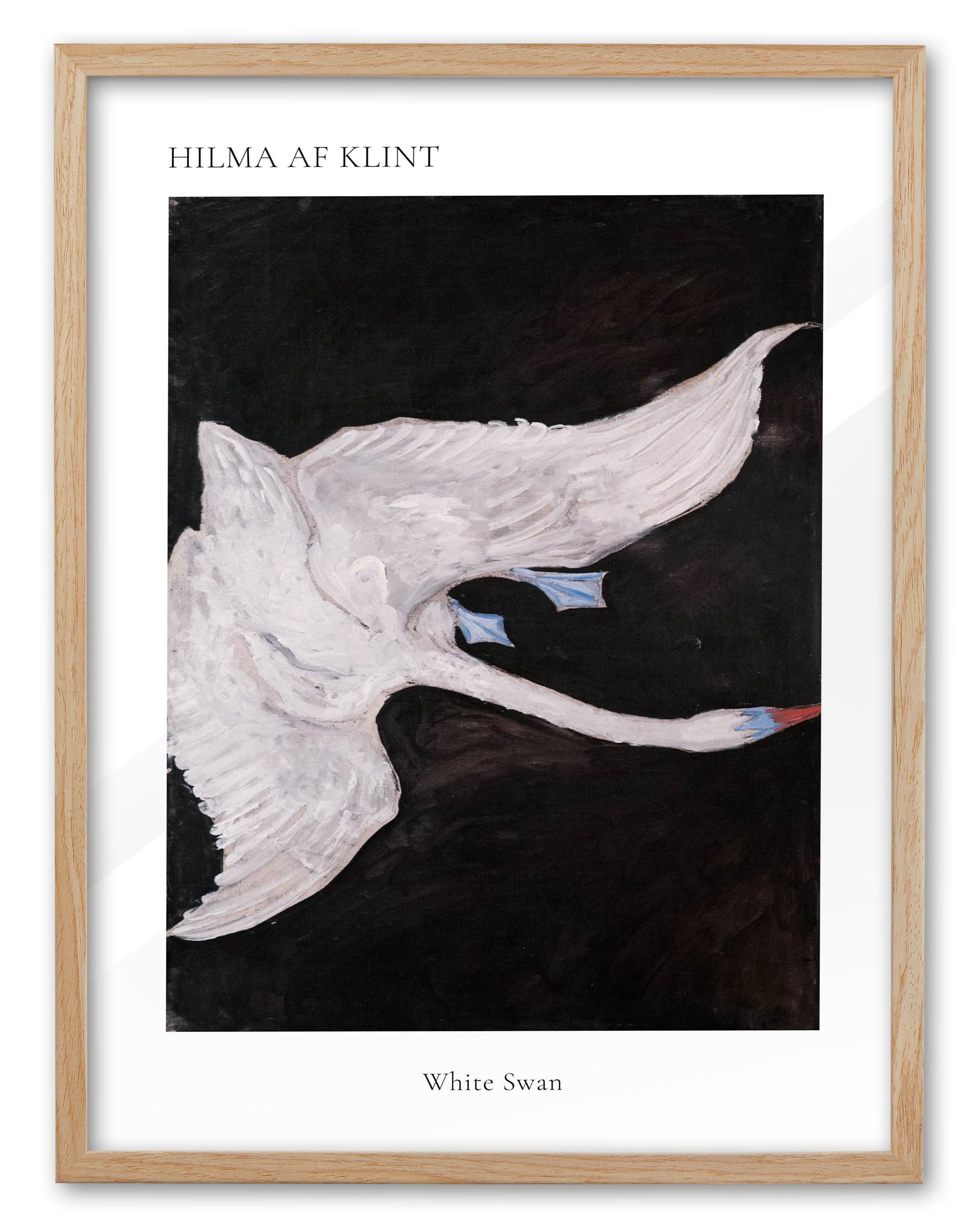 Amazon.com: EcoHest Modern Abstract White Swan Framed Wall Art