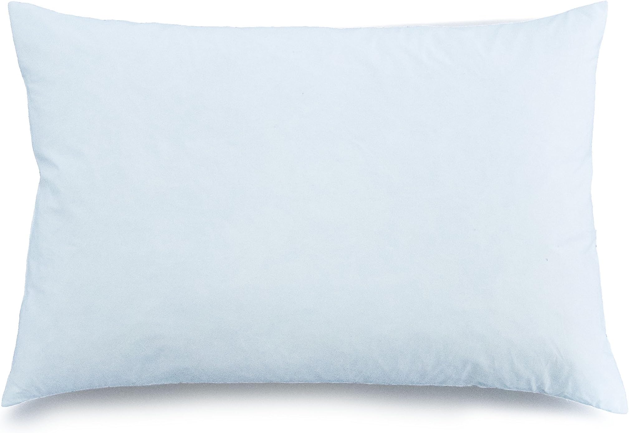 Sleeping Partners Pillow Insert 17x25 Feather and Down