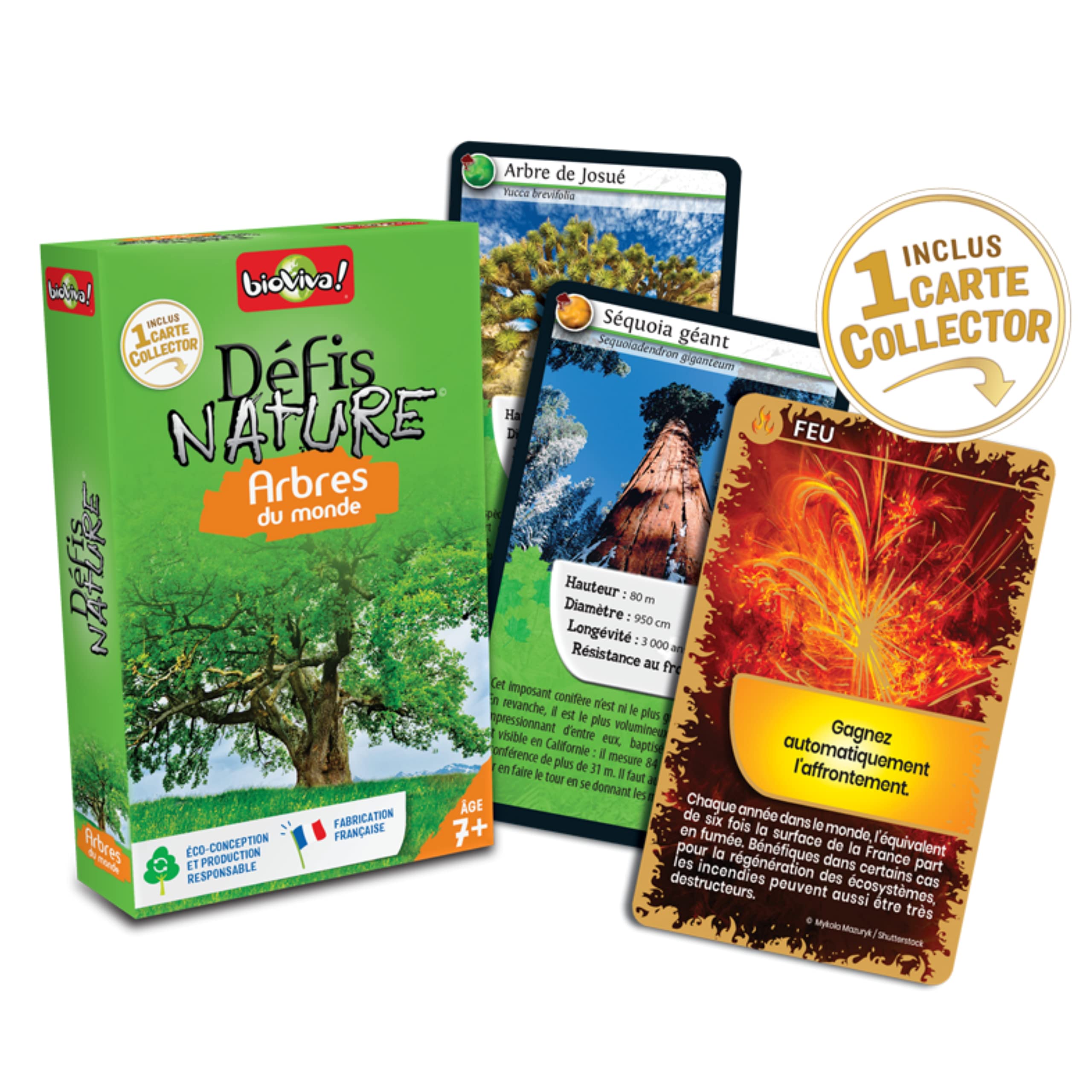 Bioviva Nature Challenges Nature- World Trees Card Game, Multi- Color, 11.4 cm x 7.2 cm x 2 cm - Image 3