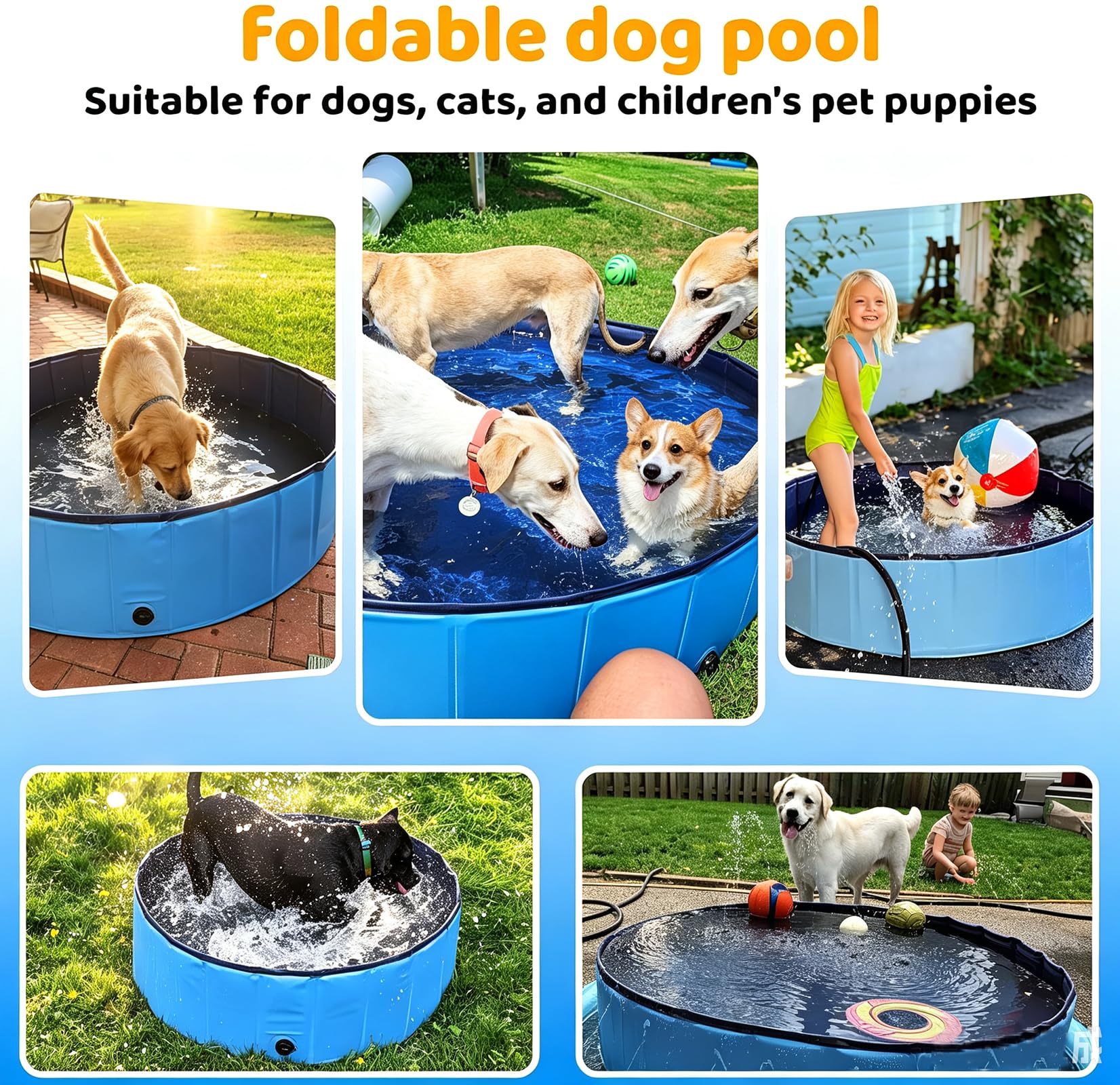Piscine pour Chien, Piscine Chien Pliable PVC