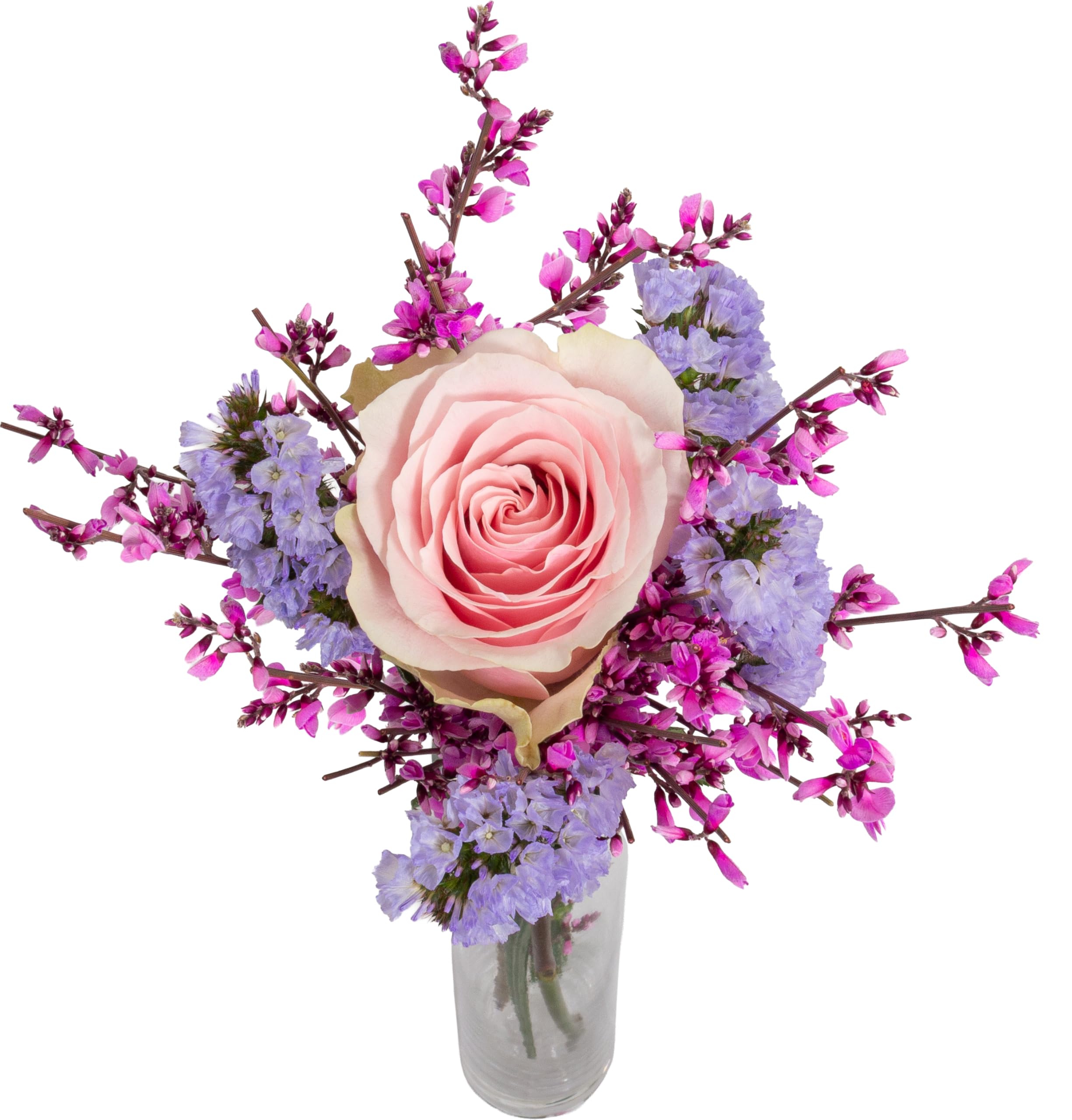 InterBloom Letterbox Fresh Flower Bouquet – Pink Rose – Premium Florist Stems – Thoughtful Gift – Next Day UK Delivery