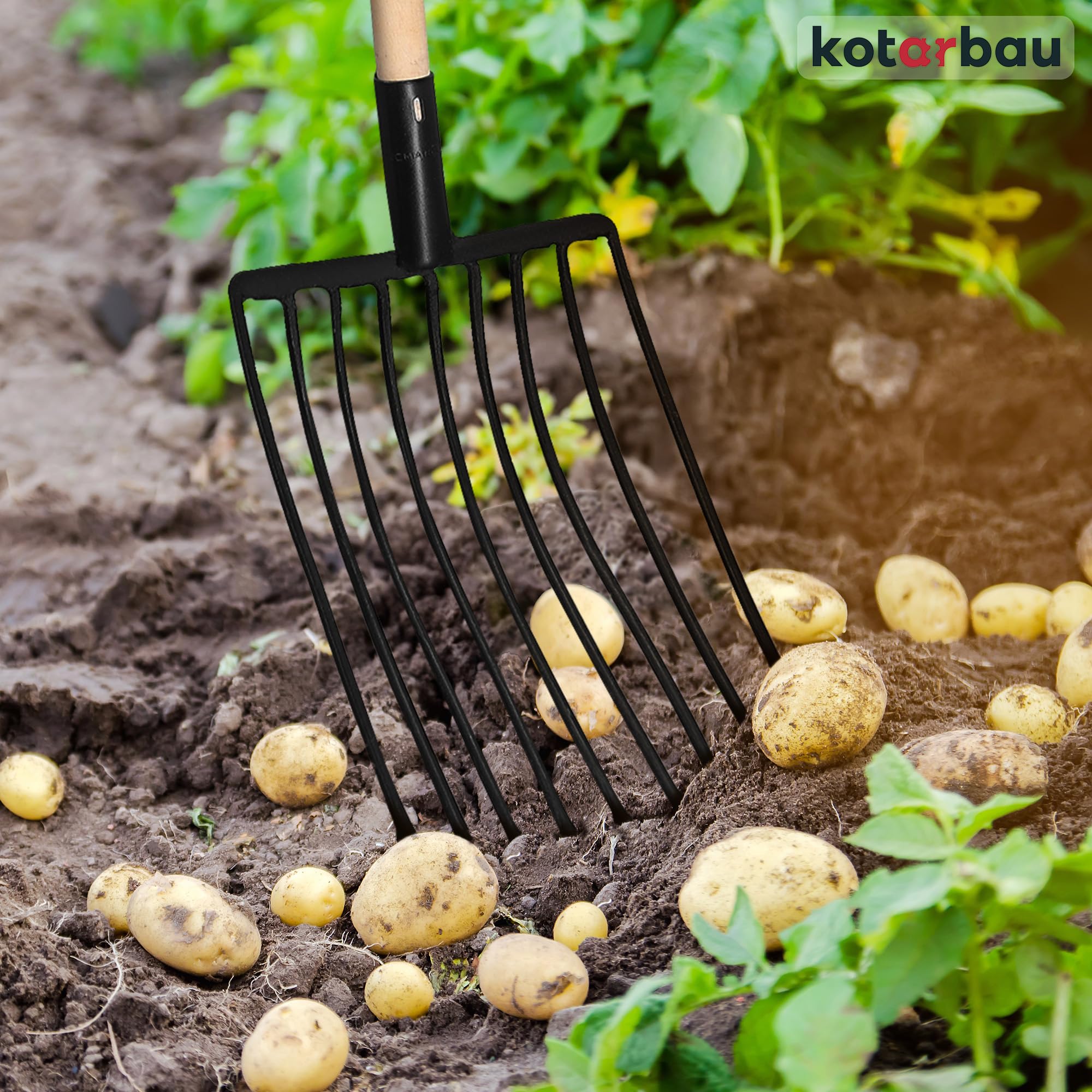 KOTARBAU® Horca de 9 púas, Horca con púas terminadas en Bolas para no dañar tubérculos, Horca para Patata, Remolacha y maíz, Horca de Acero con Botones, Horca con Mango de Madera, Horca para Campo